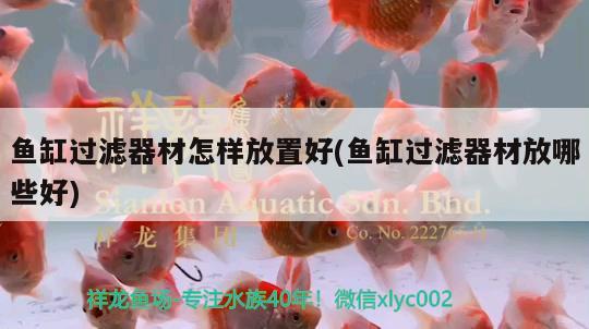 鱼缸过滤器材怎样放置好(鱼缸过滤器材放哪些好) 其它水族用具设备