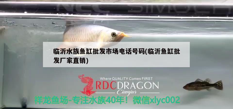 临沂水族鱼缸批发市场电话号码(临沂鱼缸批发厂家直销)