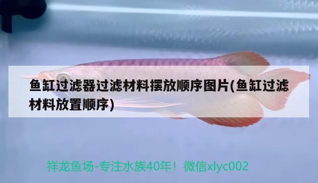 鱼缸过滤器过滤材料摆放顺序图片(鱼缸过滤材料放置顺序) 哥伦比亚巨暴鱼苗