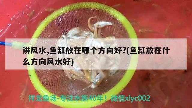 讲风水,鱼缸放在哪个方向好?(鱼缸放在什么方向风水好)