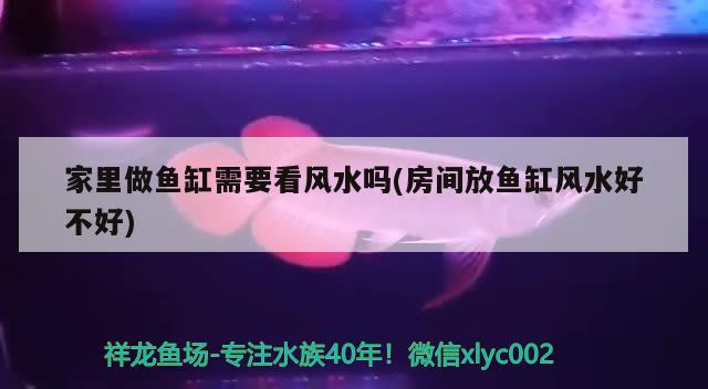 家里做鱼缸需要看风水吗(房间放鱼缸风水好不好) 鱼缸风水