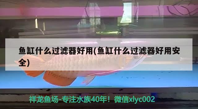 鱼缸什么过滤器好用(鱼缸什么过滤器好用安全) 祥龙龙鱼专用水族灯 第2张