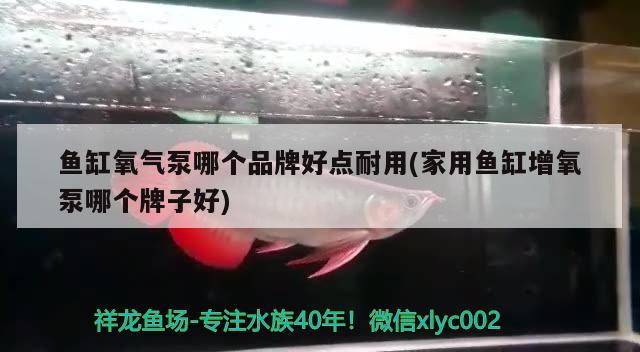 鱼缸氧气泵哪个品牌好点耐用(家用鱼缸增氧泵哪个牌子好) 鱼缸清洁用具