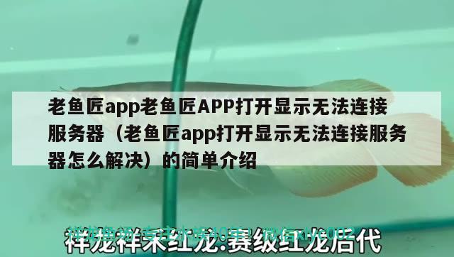 老鱼匠app老鱼匠APP打开显示无法连接服务器（老鱼匠app打开显示无法连接服务器怎么解决）的简单介绍 老鱼匠