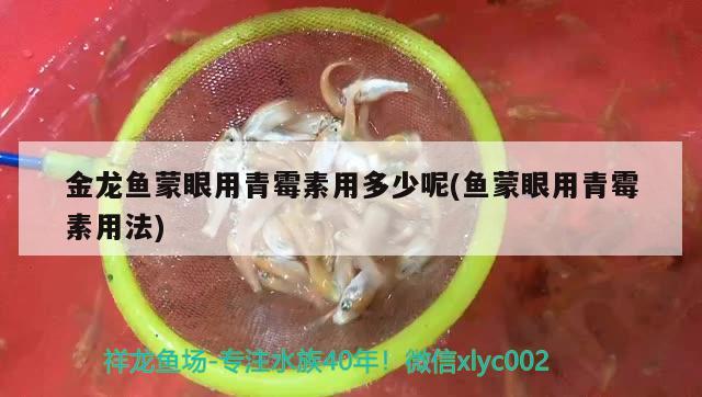 金龙鱼蒙眼用青霉素用多少呢(鱼蒙眼用青霉素用法)