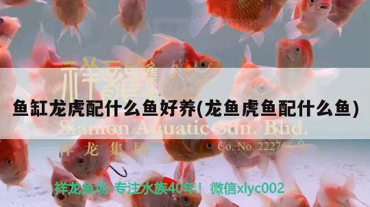 叶县昆阳镇海强水族用品店