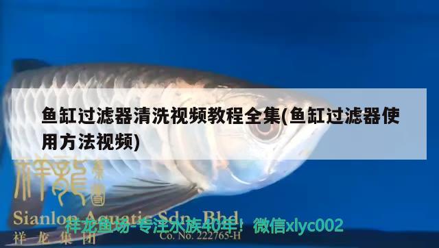 鱼缸过滤器清洗视频教程全集(鱼缸过滤器使用方法视频) 祥龙龙鱼鱼粮