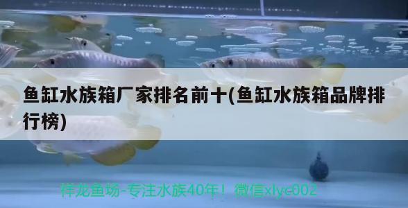 鱼缸水族箱厂家排名前十(鱼缸水族箱品牌排行榜)