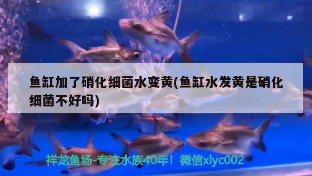 鱼缸铜离子去除的原理及方法鱼缸中铜离子的去除方法，鱼缸中铜离子去除的原理及方法