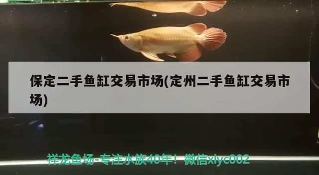 保定二手鱼缸交易市场(定州二手鱼缸交易市场) 水族世界