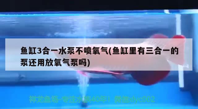 鱼缸3合一水泵不喷氧气(鱼缸里有三合一的泵还用放氧气泵吗)