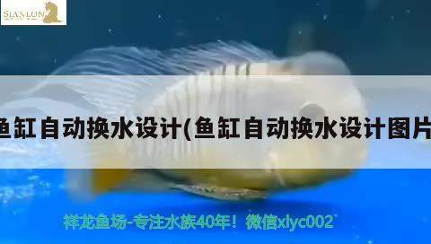 鱼缸换水为什么要静置（鱼缸换水为什么要加盐）