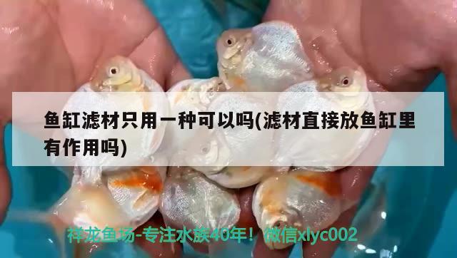 鱼缸滤材只用一种可以吗(滤材直接放鱼缸里有作用吗) 大日玉鲭鱼