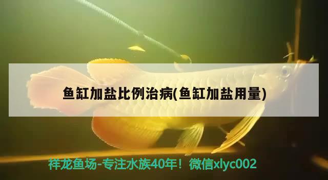 漯河水族批发市场在哪里呀电话号码（漯河水产养殖基地） 养鱼知识 第2张