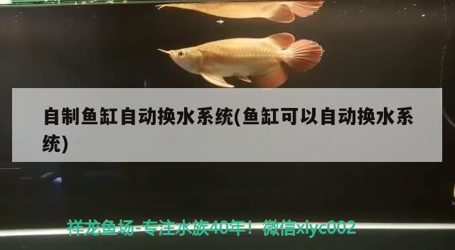 自制鱼缸自动换水系统(鱼缸可以自动换水系统) 超血红龙鱼