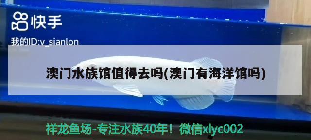 澳门水族馆值得去吗(澳门有海洋馆吗)