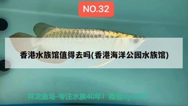 香港水族馆值得去吗(香港海洋公园水族馆) 广州祥龙国际水族贸易