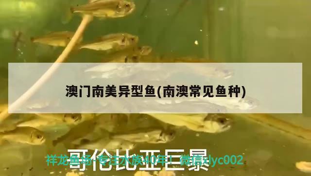 塔城水族批发市场在哪里有卖鱼的：塔城水族批发市场在哪里有卖鱼的店