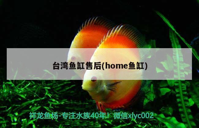 台湾鱼缸售后(home鱼缸) 广州祥龙国际水族贸易