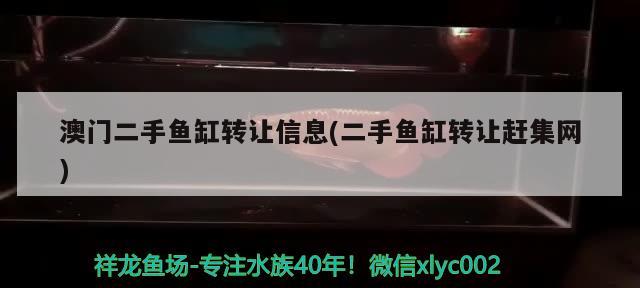 澳门二手鱼缸转让信息(二手鱼缸转让赶集网) 广州祥龙国际水族贸易