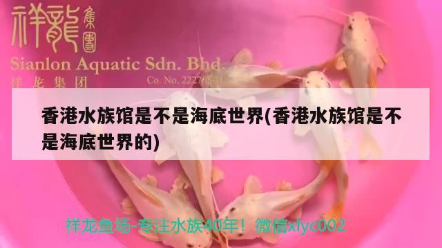 北京装饰柳条，我收到的产品与其他人收到的产品外观不同算不算质量问题 养鱼的好处 第2张