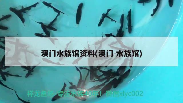 澳门水族馆资料(澳门水族馆) 广州祥龙国际水族贸易