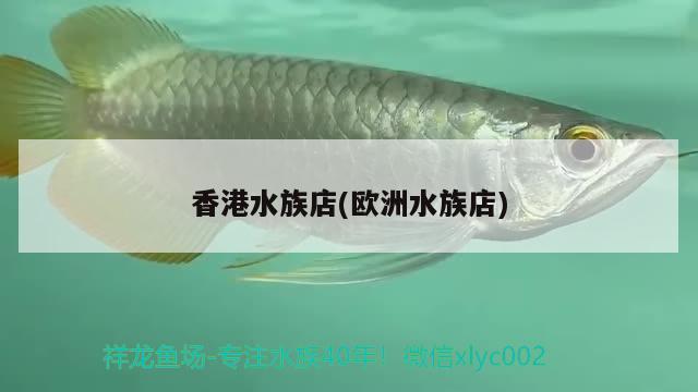 香港水族店(欧洲水族店) 广州祥龙国际水族贸易