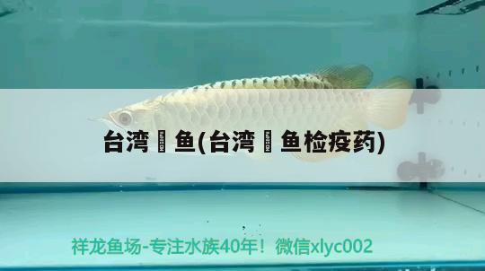 台湾魟鱼(台湾魟鱼检疫药) 广州祥龙国际水族贸易