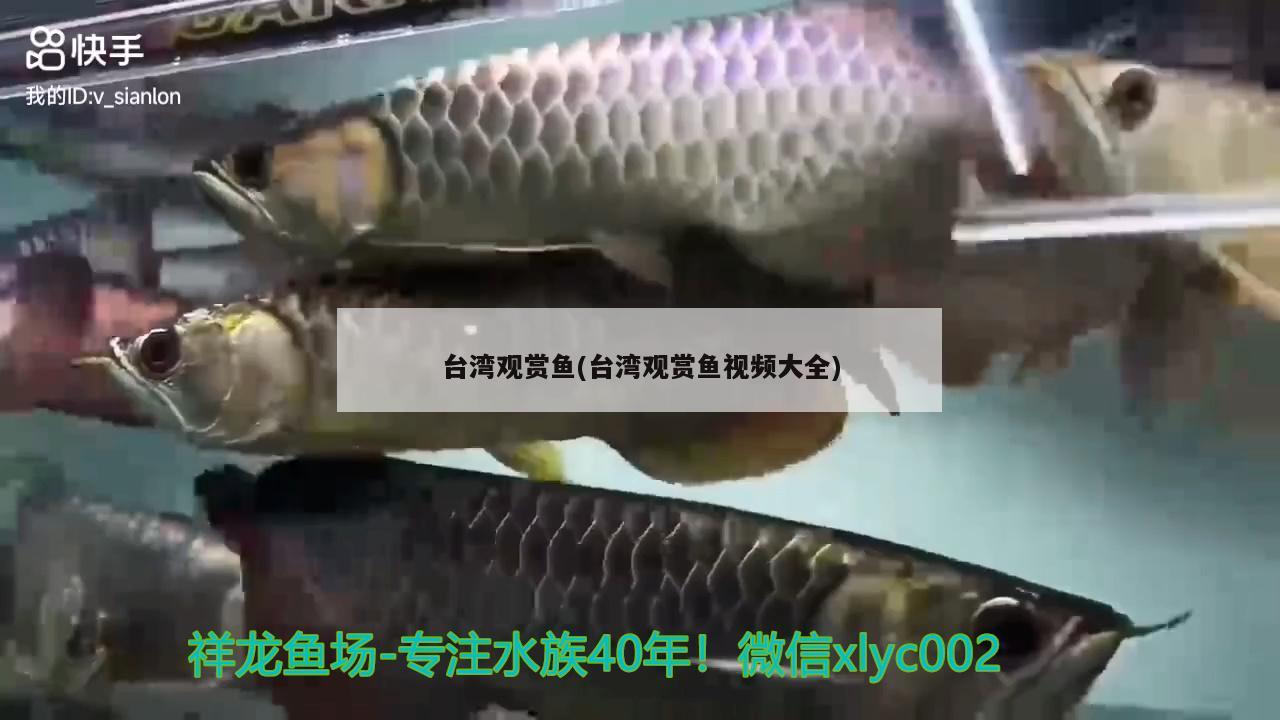 台湾观赏鱼(台湾观赏鱼视频大全) 广州祥龙国际水族贸易