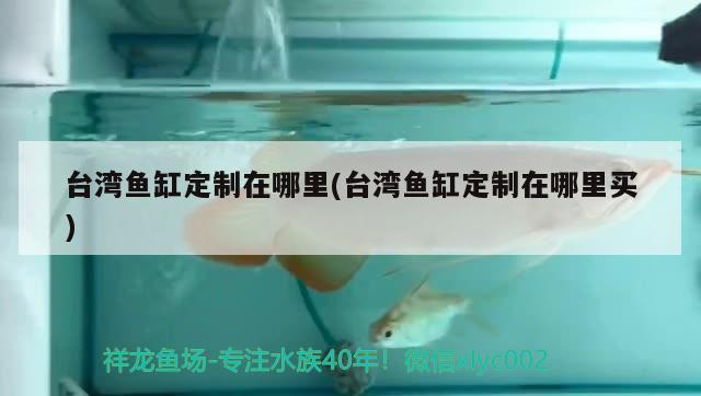 台湾鱼缸定制在哪里(台湾鱼缸定制在哪里买) 广州祥龙国际水族贸易