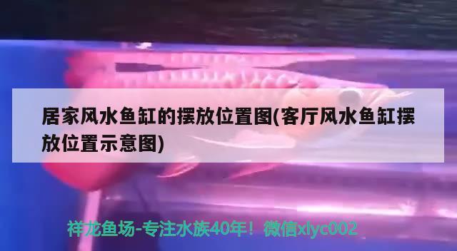 居家风水鱼缸的摆放位置图(客厅风水鱼缸摆放位置示意图)