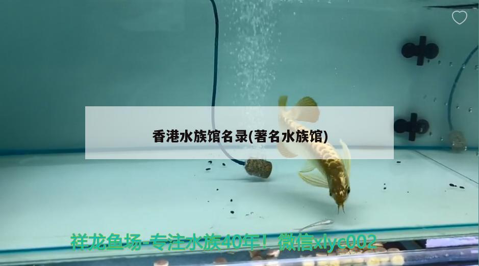 香港水族馆名录(著名水族馆) 广州祥龙国际水族贸易
