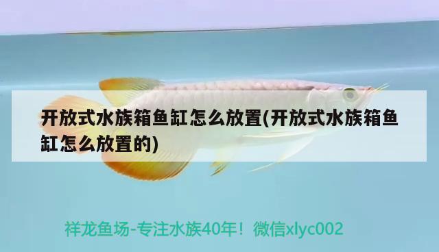 开放式水族箱鱼缸怎么放置(开放式水族箱鱼缸怎么放置的)