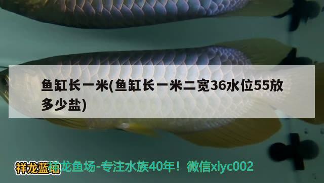 鱼缸长一米(鱼缸长一米二宽36水位55放多少盐) 鱼缸水泵