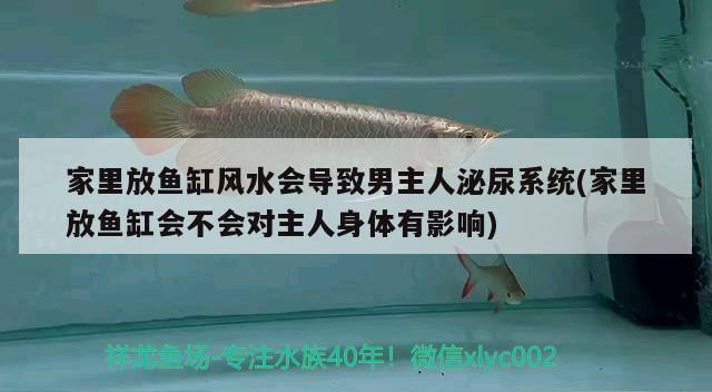 红鹦鹉鱼爆头是怎么回事啊，十种最吉利的鱼适合在家养的鱼