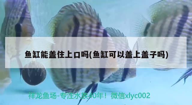 苏州鱼缸报价鱼缸价格及图片尺寸一米长宽多少钱一个解释（1米的鱼缸一般多少钱大概多少钱？） 三色锦鲤鱼 第2张