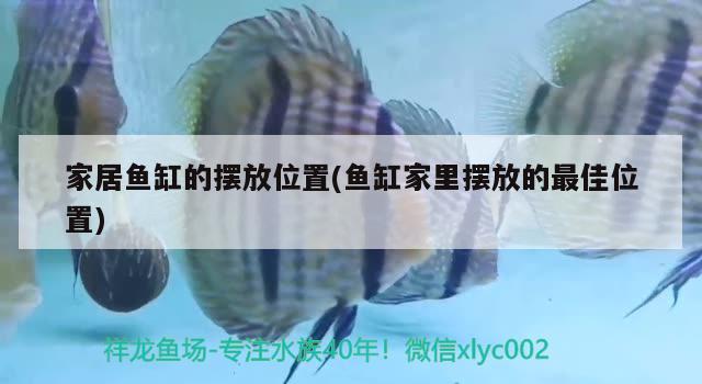 家居鱼缸的摆放位置(鱼缸家里摆放的最佳位置) 孵化器