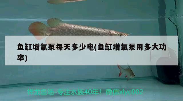 鱼缸增氧泵每天多少电(鱼缸增氧泵用多大功率) 新加坡号半红龙鱼（练手级红龙鱼）