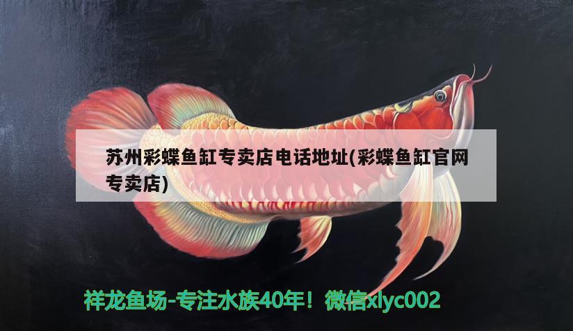 家庭鱼缸放在什么位置最好(家庭鱼缸放在什么位置最好最吉利) 月光鸭嘴鱼