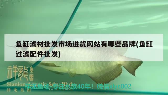 鱼缸滤材批发市场进货网站有哪些品牌(鱼缸过滤配件批发) 巴西亚鱼