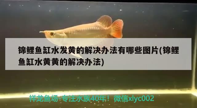 鱼缸增氧气泡溅水（买热水器主要看哪些方面） 黑影道人鱼 第1张