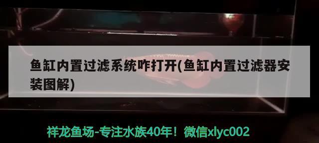 鱼缸内置过滤系统咋打开(鱼缸内置过滤器安装图解)