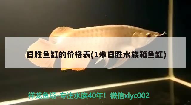 日胜鱼缸的价格表(1米日胜水族箱鱼缸) 鱼缸/水族箱