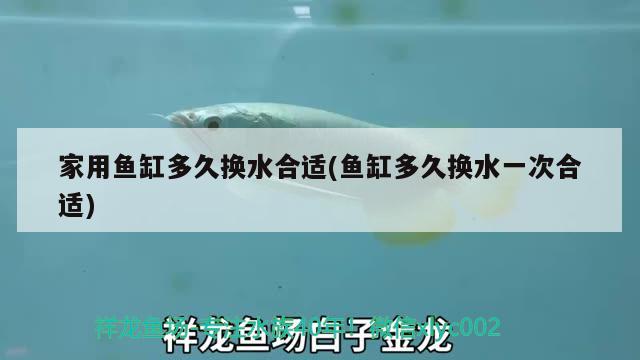 家用鱼缸多久换水合适(鱼缸多久换水一次合适) 月光鸭嘴鱼