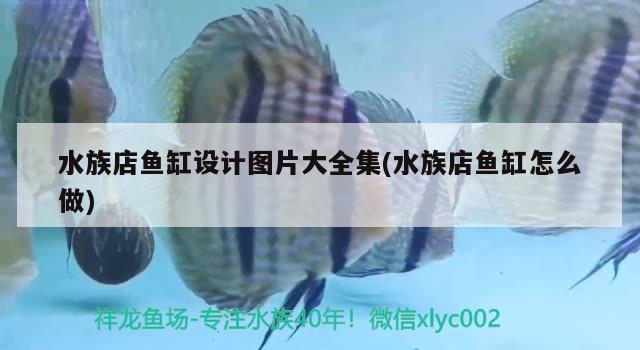 水族店鱼缸设计图片大全集(水族店鱼缸怎么做) 祥龙水族滤材/器材