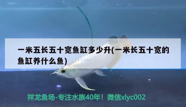 红龙鱼饲料哪个牌子好一点啊（红龙鱼饲料品质排名）