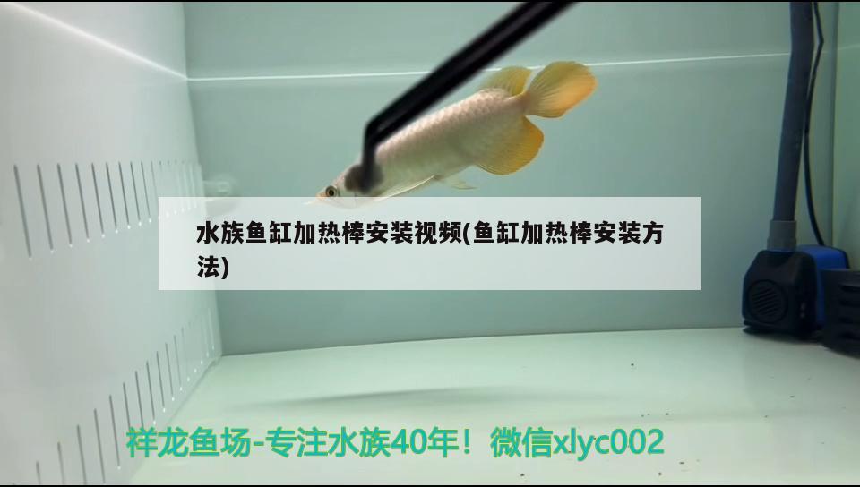 水族鱼缸加热棒安装视频(鱼缸加热棒安装方法) 苏虎