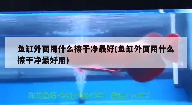 水族鱼缸加热棒(水族鱼缸加热棒优点) 狗仔招财猫鱼