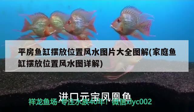 平房鱼缸摆放位置风水图片大全图解(家庭鱼缸摆放位置风水图详解) 鱼缸风水