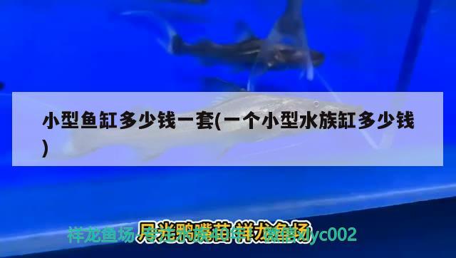 小型鱼缸多少钱一套(一个小型水族缸多少钱) 水温计